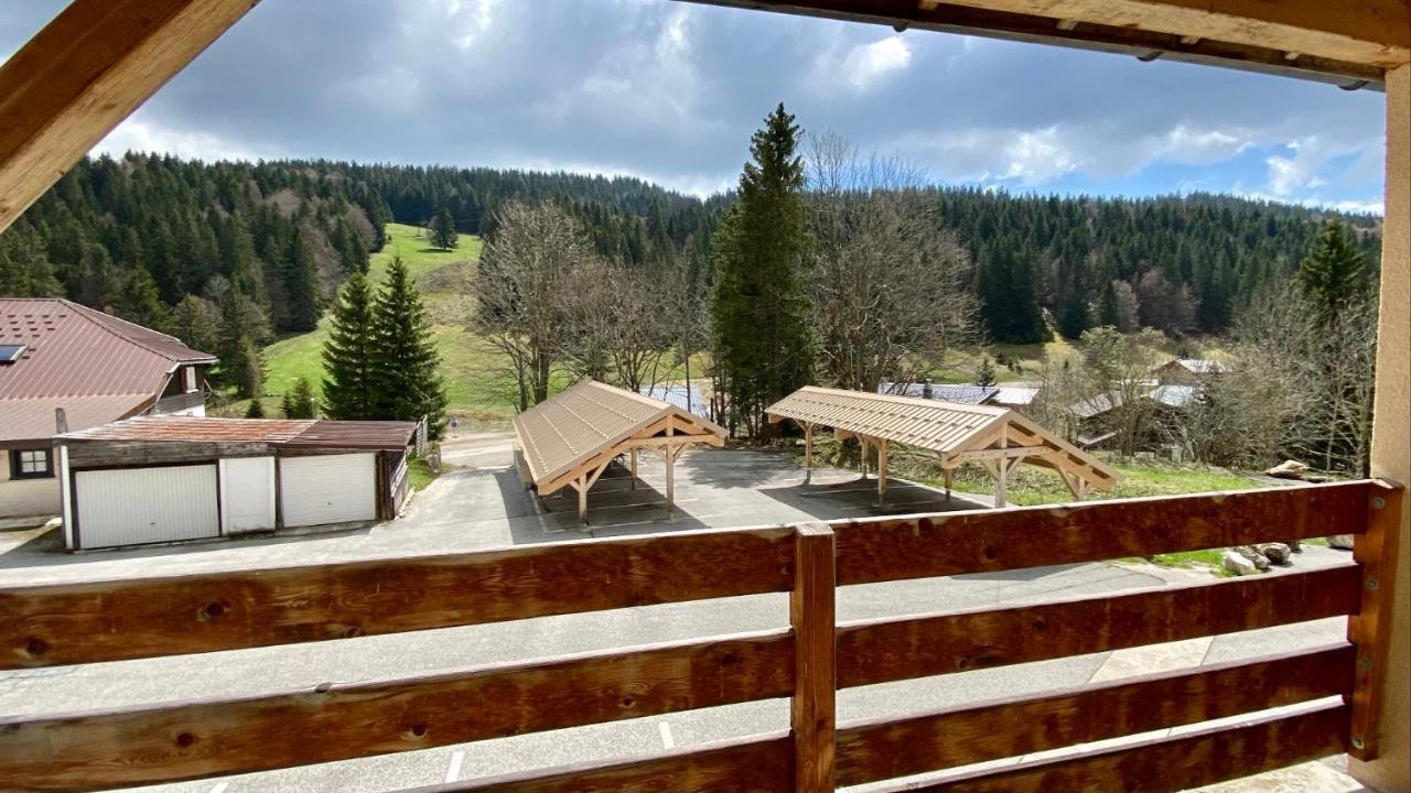 Appartement Ideal Pour Ete Et Hiver, Situe Au Pied Des Pistes De Ski Et Des Sentiers De Randonnee Premanon Exterior photo